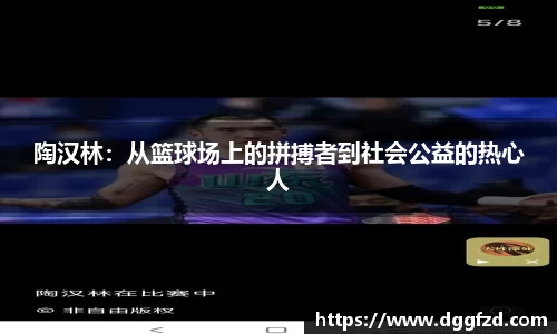 智博19