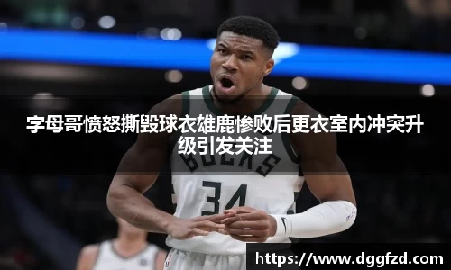 智博19有限公司