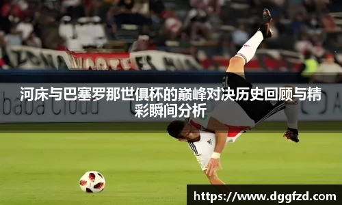 智博19