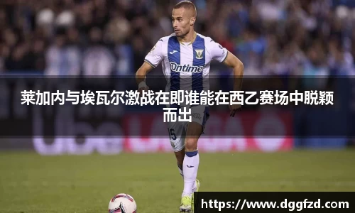 智博19