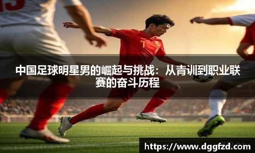 智博19有限公司