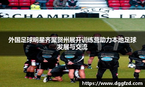 智博19有限公司