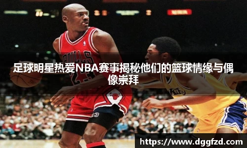 智博19有限公司