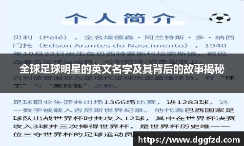 智博19有限公司